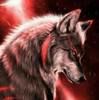 travischarlton4
